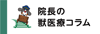 院長の獣医療コラム