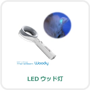 LEDウッド灯